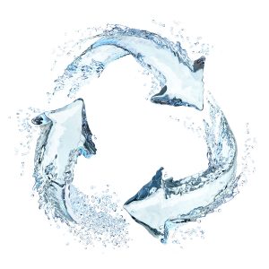 Rainbird CGI Water Harvesting logo