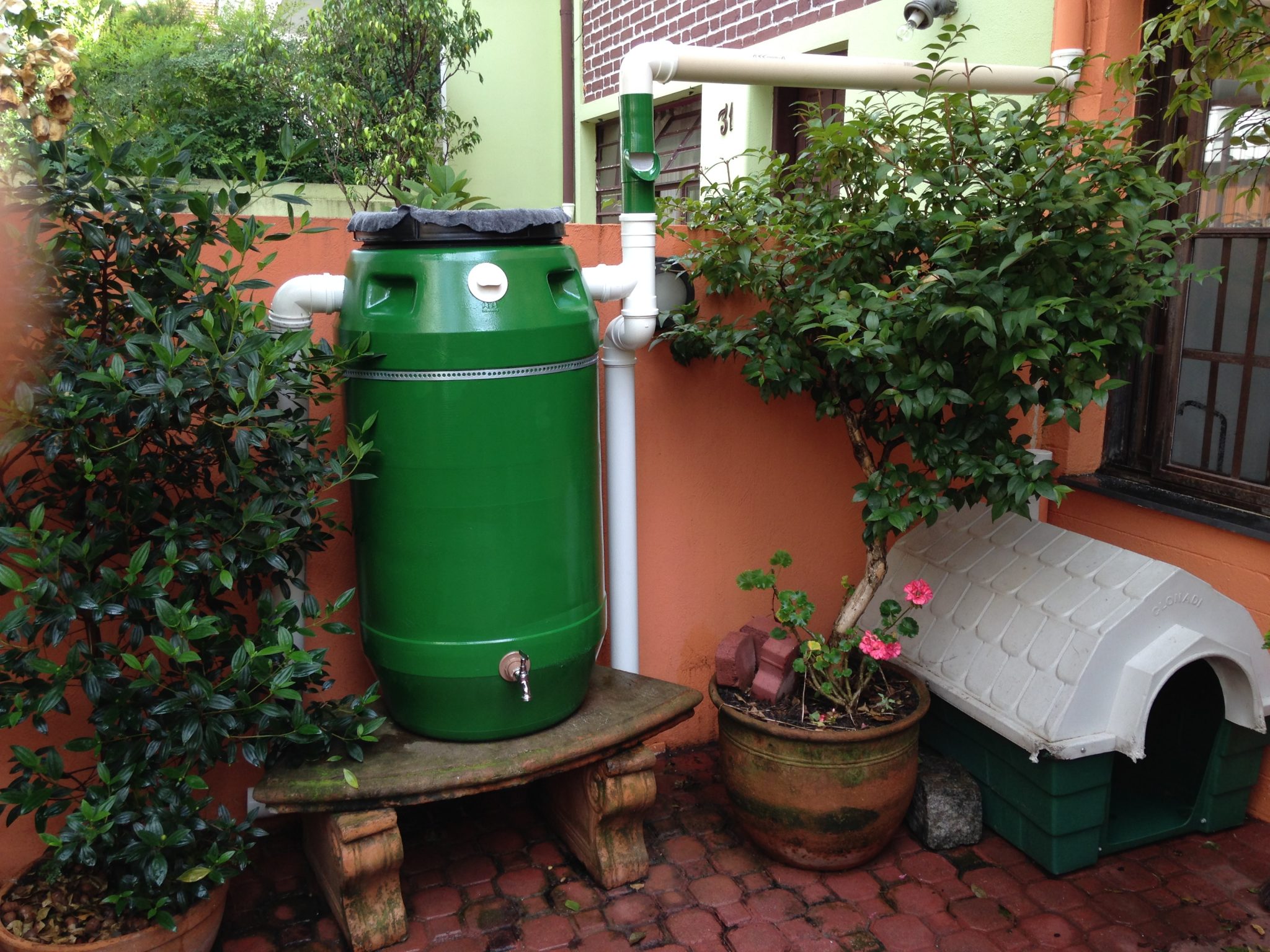 Cisterna coletora: economize água com ajuda da chuva