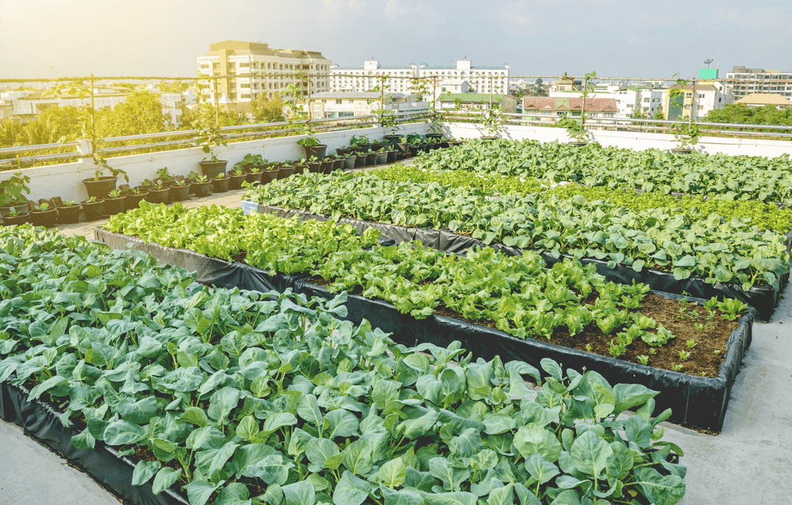 uso sustentável da água