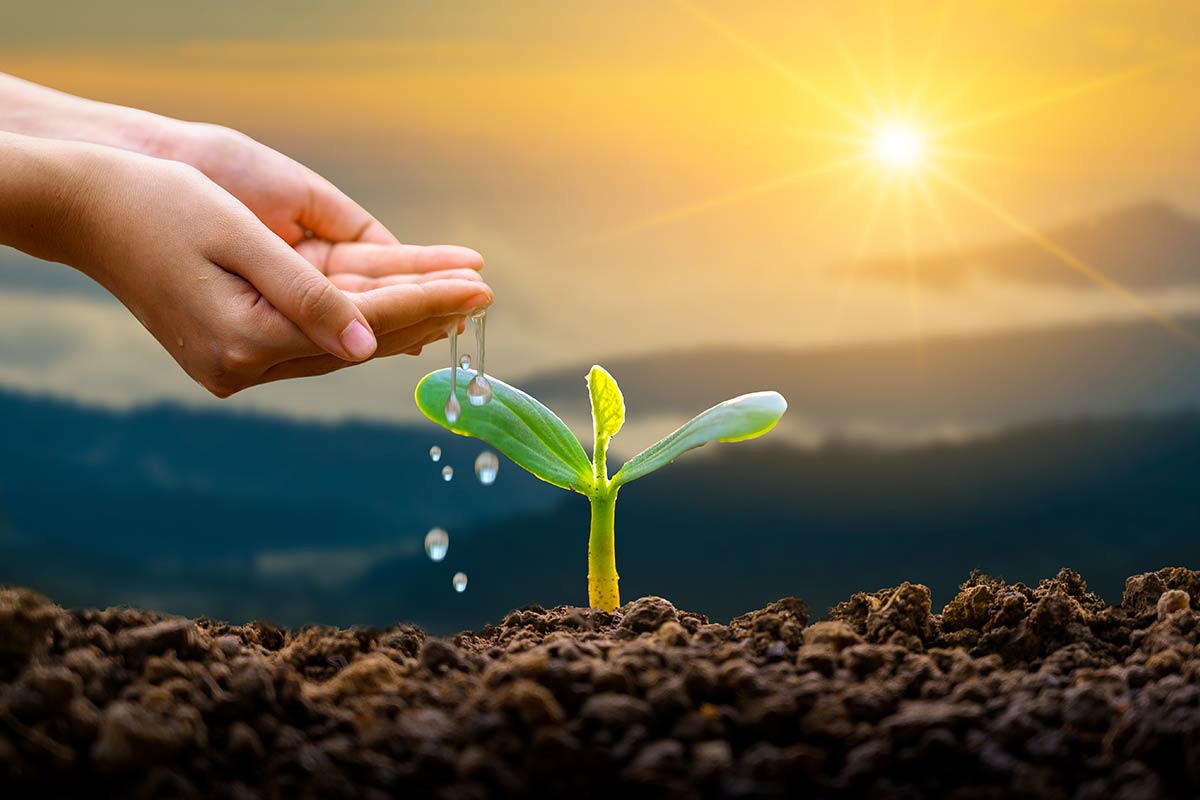 dia-mundial-agua-meio-ambiente-dra-dimona-macedo-endocrinologista